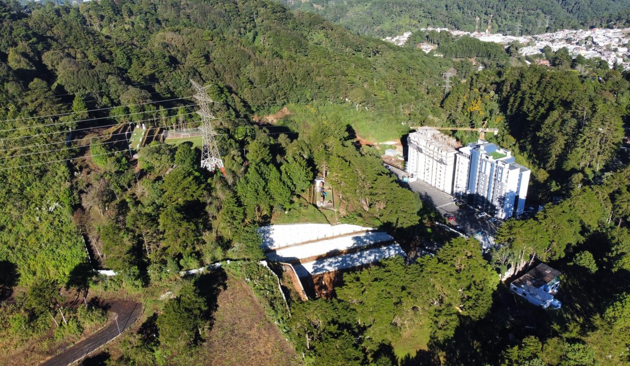 MONET 4 NUEVAS IMAGENES